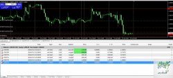 DunamisFX MetaTrader 4.jpg