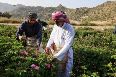 1767003373250.png 1767003373250.png