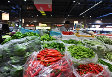 1775246635144.png 1775246635144.png