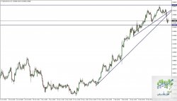 NZDCADmicroH4.jpg