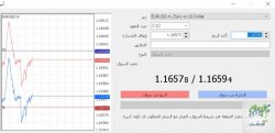 بدون عنوان.jpg