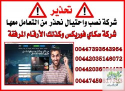 فوركس سكاي.jpg