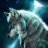 Wolf_ST
